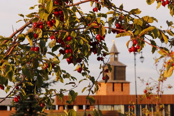 Старое бабье лето начнётся в Нижегородской области в октябре